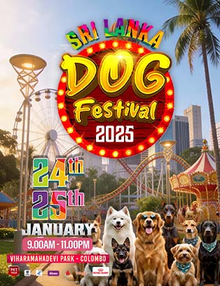 Dog Festival 2026